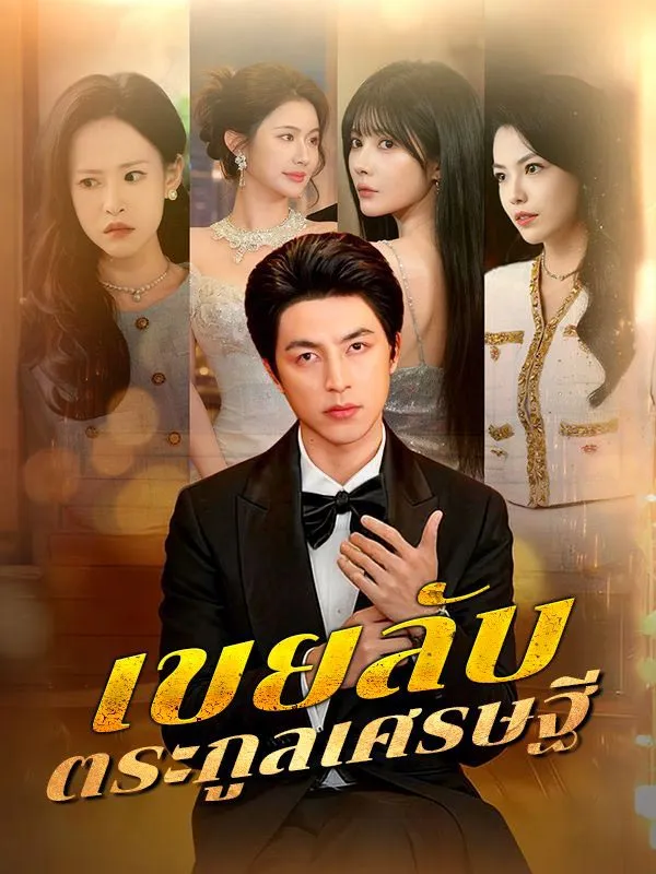 เขยลับตระกูลเศรษฐี พากย์ไทย