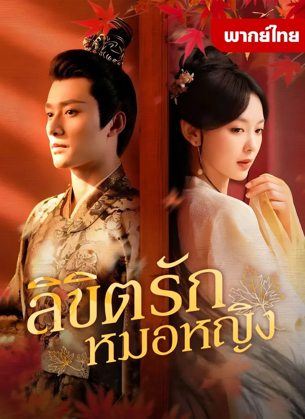 ลิขิตรักหมอหญิง พากย์ไทย