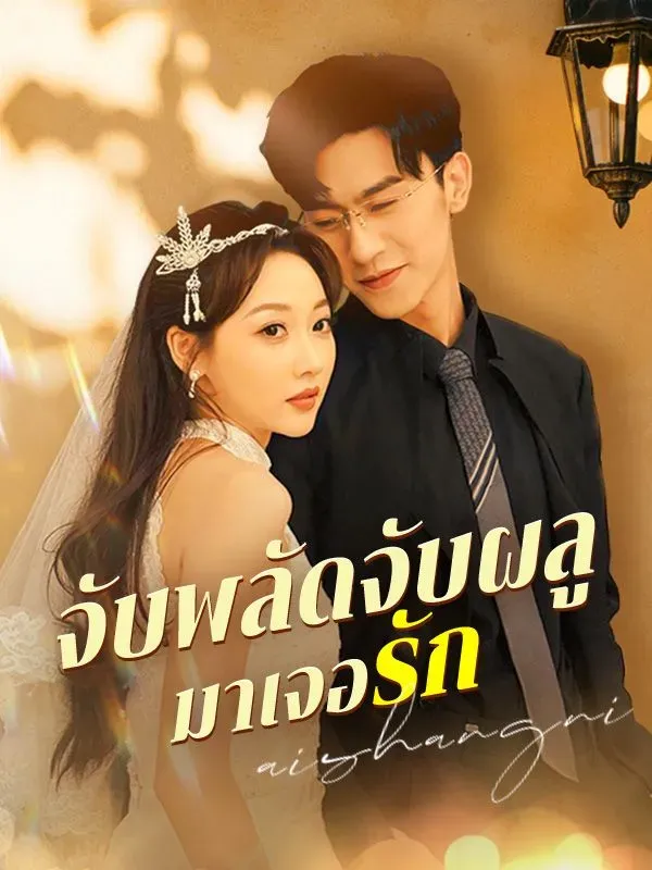 จับพลัดจับผลูมาเจอรัก ซับไทย