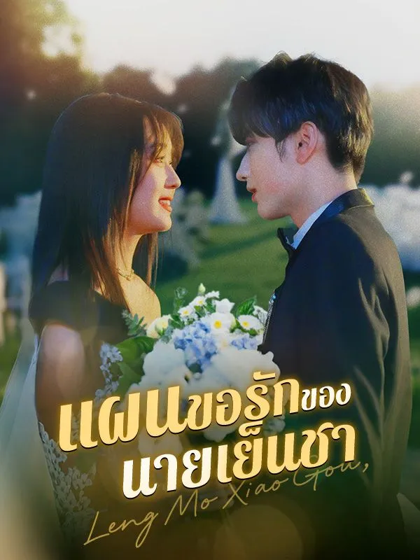 แผนขอรักของนายเย็นชา ซับไทย