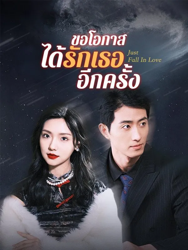 ขอโอกาสได้รักเธออีกครั้ง ซับไทย