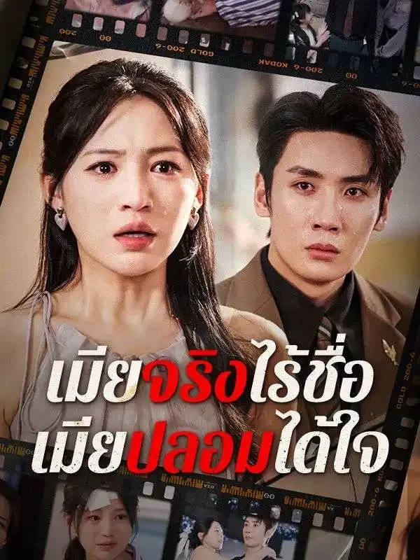 เมียจริงไร้ชื่อเมียปลอมได้ใจ พากย์ไทย