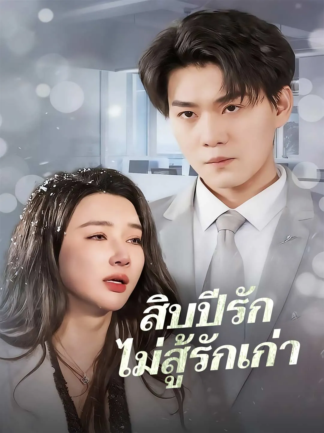 สิบปีรักไม่สู้รักเก่า พากย์ไทย