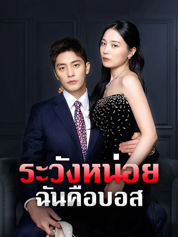 ระวังหน่อยฉันคือบอส พากย์ไทย