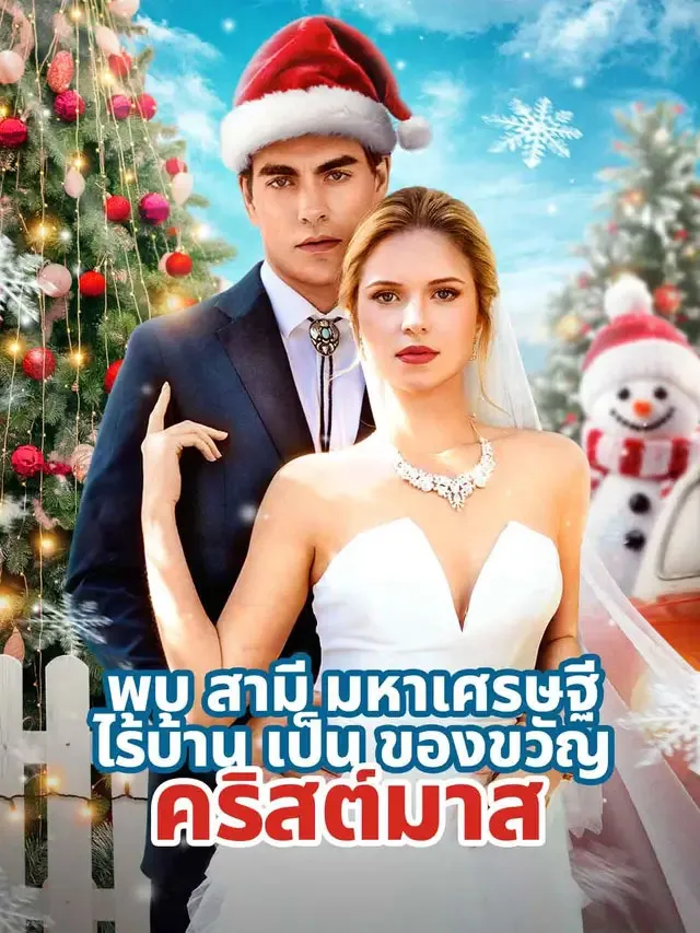 พบสามีมหาเศรษฐีไร้บ้านเป็นของขวัญคริสต์มาส พากย์ไทย